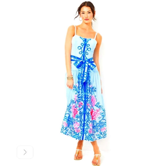Lilly Pulitzer Dresses & Skirts - NWT Lilly Pulitzer Saylar Maxi Dress Multi Naut Today Engineered Woven Maxi 12